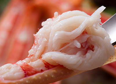 冬のお料理イメージ