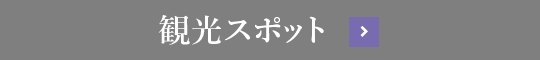 観光スポット