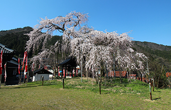 泰雲寺