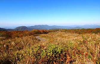 上山高原