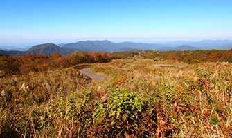 上山高原